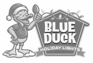 BLUE DUCK HOLIDAY LIGHTS