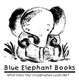 BLUE ELEPHANT BOOKS WHAT DOES YOUR IMAGINATION LOOK LIKE? logo