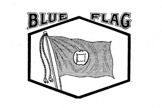 BLUE FLAG logo