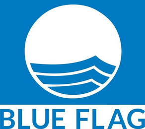BLUE FLAG logo