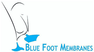 BLUE FOOT MEMBRANES logo