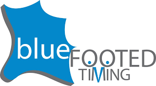 BLUE FOOTED TIMING logo