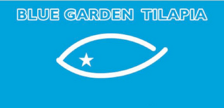 BLUE GARDEN TILAPIA logo