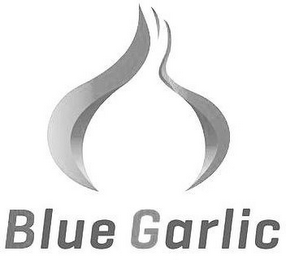 BLUE GARLIC logo