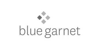 BLUE GARNET logo