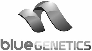 BLUE GENETICS logo