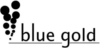 BLUE GOLD logo