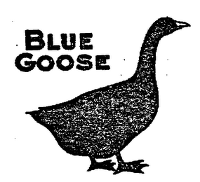 BLUE GOOSE logo