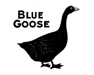 BLUE GOOSE