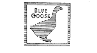 BLUE GOOSE logo