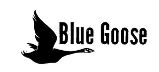 BLUE GOOSE logo