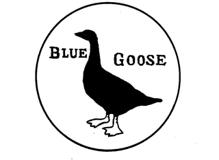 BLUE GOOSE logo