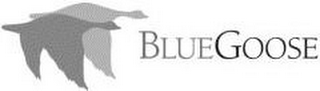 BLUE GOOSE logo