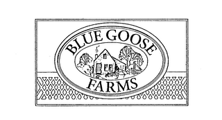 BLUE GOOSE FARMS logo