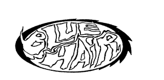BLUE HAIR logo