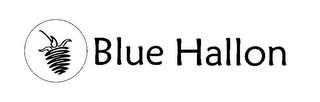 BLUE HALLON logo