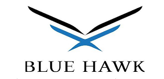 BLUE HAWK logo