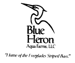 BLUE HERON AQUA FARMS, LLC "HOME OF THEEVERGLADES STRIPED BASS" logo