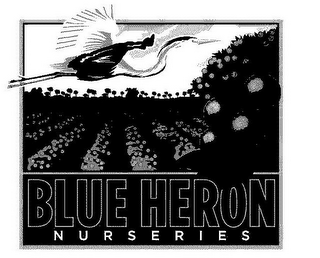 BLUE HERON NURSERIES logo