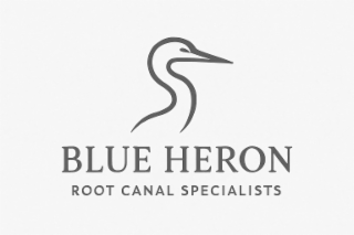 BLUE HERON ROOT CANAL SPECIALISTS logo