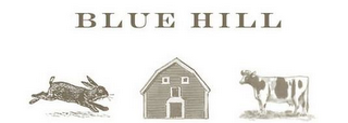 BLUE HILL logo