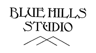 BLUE HILLS STUDIO logo