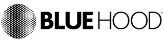 BLUE HOOD logo