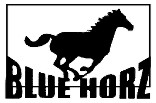 BLUE HORZ logo
