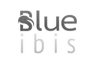 BLUE IBIS logo