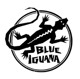 BLUE IGUANA logo