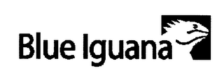 BLUE IGUANA logo