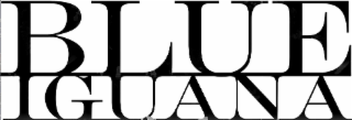 BLUE IGUANA logo