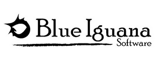 BLUE IGUANA SOFTWARE logo
