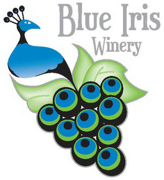 BLUE IRIS WINERY logo