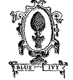 BLUE IVY INC logo