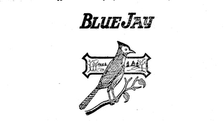 BLUE JAY logo