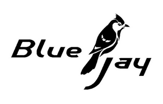 BLUE JAY logo