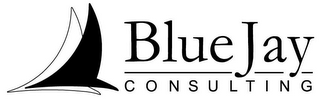 BLUE JAY CONSULTING logo