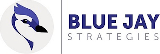 BLUE JAY STRATEGIES logo