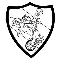 BLUE KNIGHTS. logo
