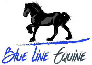 BLUE LINE EQUINE