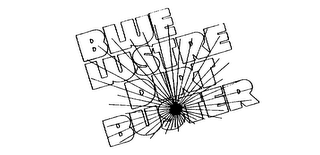 BLUE LUSTRE DIRT BUSTER logo