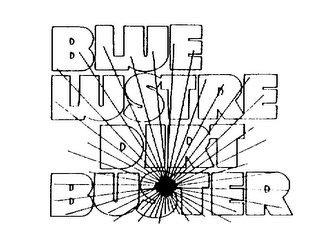 BLUE LUSTRE DIRT BUSTER logo