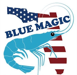 BLUE MAGIC logo