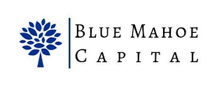 BLUE MAHOE CAPITAL logo