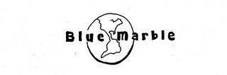 BLUE MARBLE logo