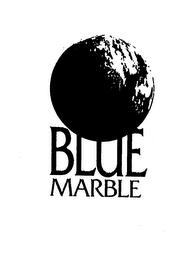 BLUE MARBLE logo