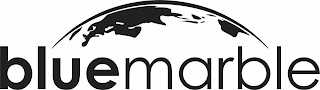 BLUE MARBLE logo