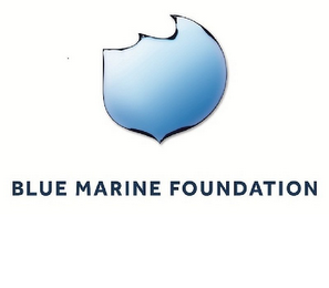 BLUE MARINE FOUNDATION logo