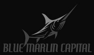 BLUE MARLIN CAPITAL logo